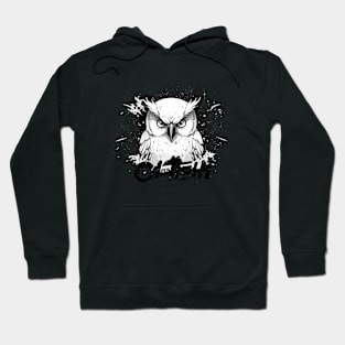 Graffiti Paint Owl Bird Creative Hoodie